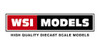 WSI Models